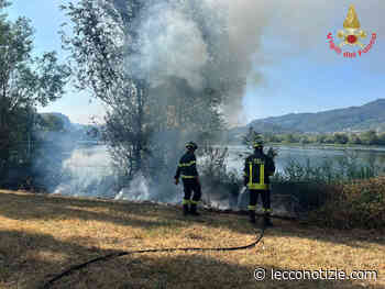 I Vigili del Fuoco a Calolziocorte per un incendio al canneto - Lecco Notizie