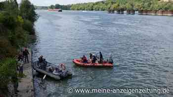 Geschwächter Belugawal in der Seine