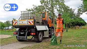 Sehnde: Bäume leiden unter Hitze und Dürre - HAZ