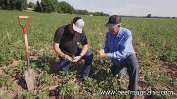 This Week in Agribusiness August 6, 2022