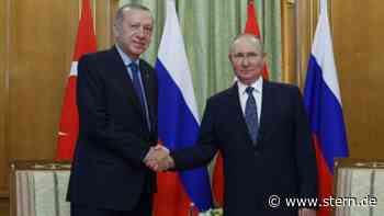 Putin und Erdogan vereinbaren engere Zusammenarbeit bei Wirtschaft und Energie - STERN.de