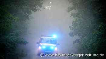 Brand im Berliner Grunewald: Lage entspannt sich