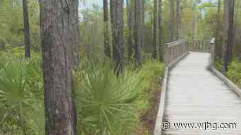PCB Conservation Park trail reopens following restorations - WJHG