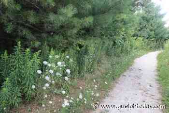 15 years in the making, Guelph Lake Rotary Trail - GuelphToday