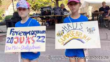 Mini-Schramberg - Eine Behausung für die Insekten - Schwarzwälder Bote