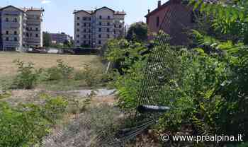 Gallarate, in campo bottiglie vuote e deiezioni - La Prealpina