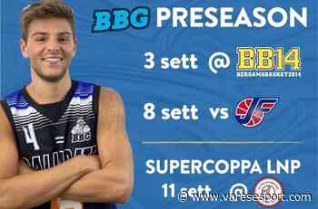 Definito il pre-season di Gallarate: due amichevoli prima del derby di Supercoppa contro Desio - VareseSport