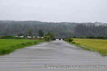 Flood advisory in place for Langley Township as Fraser River water level rises - Langley Advance Times