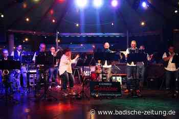 Zahlreiche Besucher beim Schlossparkfest in Oberrimsingen - Breisach - badische-zeitung.de