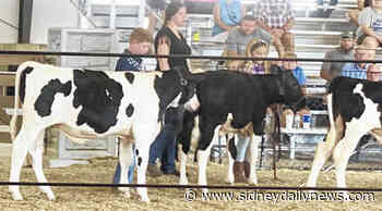 Enthusiasm for Auglaize County Junior Fair persists despite rising costs - sidneydailynews.com