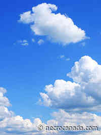 Sidney Sweetapple 2022 - Nécrologie Canada