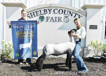 Champion market lamb and more - sidneydailynews.com