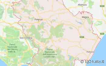 Il Comune di Matera vuole attivare 'stalli rosa' - Sky Tg24