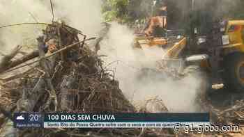 Fogo de turfa destrói parte de APP em Santa Rita do Passa Quatro - Globo
