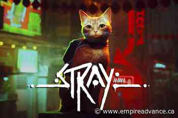 'Stray': How a virtual orange tabby is helping real cats - Virden Empire Advance