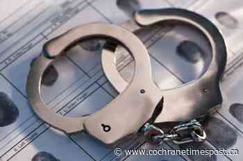 Sudbury man faces impaired driving causing death charge - Cochrane Times Post