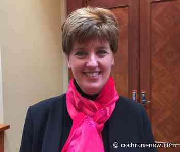 Investment into bioeconomy to improve non-food agricultural output - CochraneNow.com