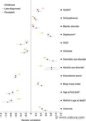 Differences in the genetic architecture of common and rare variants in childhood, persistent and late-diagnosed attention-deficit hyperactivity disorder - Nature.com