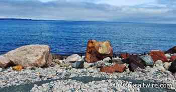 WEATHER PHOTO: Stony heart in Conception Bay South, N.L. - Saltwire