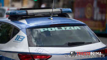Tenta di uccidere padre e figlio, indaga anche la Polizia di Trieste: arrestato imprenditore - TriestePrima