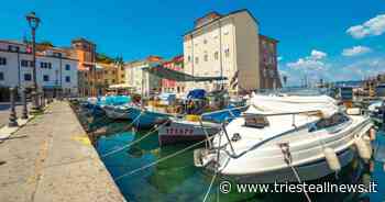 Carnevale estivo di Muggia, il programma - Trieste News