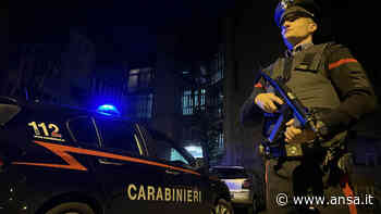 Rapine in villa: arrestato dopo 15 anni a Trieste - Agenzia ANSA