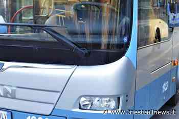 “Servola sotto le stelle”, bus navetta per raggiungere la... - Trieste News