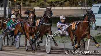 Montepremi scarsi e corse dimezzate: l'ippodromo di Trieste ferma l'attività per tre mesi - Il Piccolo