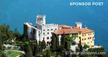 Trieste, le meraviglie nascoste di un territorio vergine e 4 vini... - Intravino