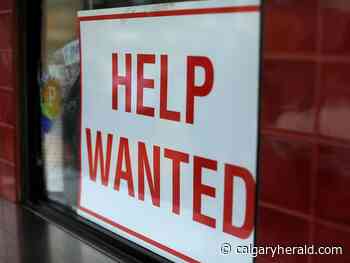 'Many reasons to be optimistic': Calgary records 12,000 new full-time jobs in July - Calgary Herald