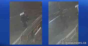 CPS asks for public’s help in identifying Victoria Park assault suspect - Global News