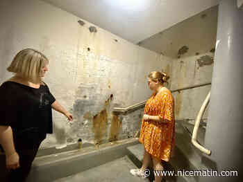 Des champignons, comme ceux qu’on trouve en forêt, poussent dans les murs: un logement social à Saint-Paul-de-Vence rongé par l’humidité