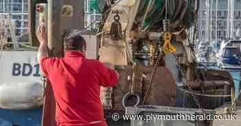 Plymouth fishermen fear Sutton Harbour repairs will damage livelihood - Plymouth Live