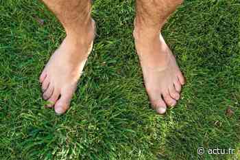 Près de Lyon. En pleine rue, un passant fait une rencontre déconcertante et tombe des nues - actu.fr