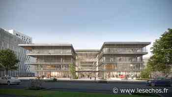 EM Lyon, le grand virage RSE - Les Échos