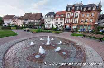 Ideen für Sommerferien in Mannheim und Umgebung - Erleben: Tipps für Ausflüge, Familien, Haustiere, Haus und Garten - Mannheimer Morgen