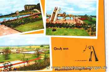 Wie die Bürger in Mannheim-Rheinau das Parkschwimmbad gerettet haben - Mannheim: Rheinau und Hochstätt - Nachrichten und Informationen - Mannheimer Morgen