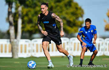 Le ultime dal Centro Sportivo: torelli e tattica - Forza Parma