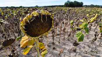 Francia, allarme siccità: più di cento comuni sono senza acqua potabile - La Stampa