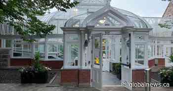 Westmount Conservatory reopens to the public after restorations completed - Global News