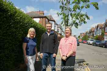 250 new street trees planted across Haringey - Haringey Community Press