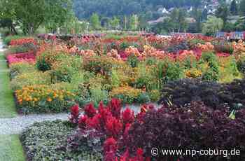 Landesgartenschau Kronach - Eine friedliche, schöne Zeit - Neue Presse Coburg