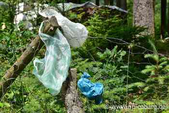 Illegale Entsorgung in Tettau - Briefkopf verrät Müllsünderin - Neue Presse Coburg