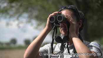 Gießen nicht erlaubt: Französische Polizei sucht nach Wassersündern in Zeiten der Dürre