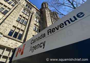 Pandemic benefits were too generous with businesses, stringent with workers: experts - Squamish Chief