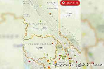 How do I report a wildfire? - Squamish Chief