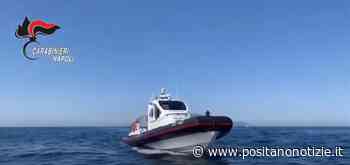 Controlli nel mare di Punta Campanella, imbarcazioni multate per noleggio abusivo - Positano Notizie