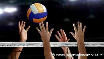 Il libero Marco Santucci ancora un anno con l'EnergyTime Spike Campobasso - Il Giornale del Molise