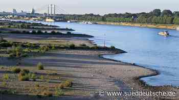 Sonniges und warmes Wochenende in NRW: Aber Niedrigwasser - Süddeutsche Zeitung - SZ.de