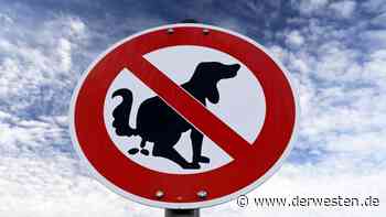 Essen: Frau trifft der Schlag, als sie DAS vor der Haustür findet - DER WESTEN